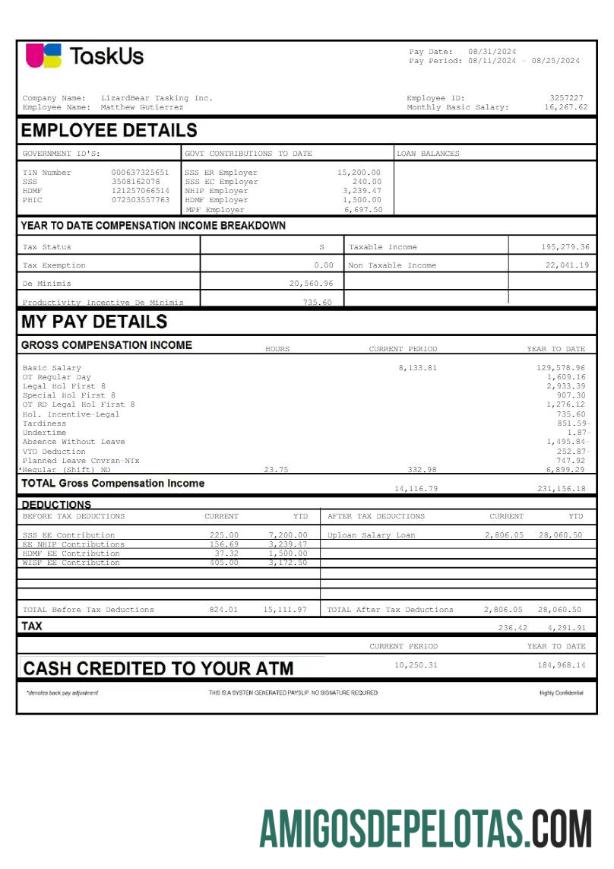 Profesional TaskUs LizardBear Tasking earnings templat in Word and PDF format.PDF, 1