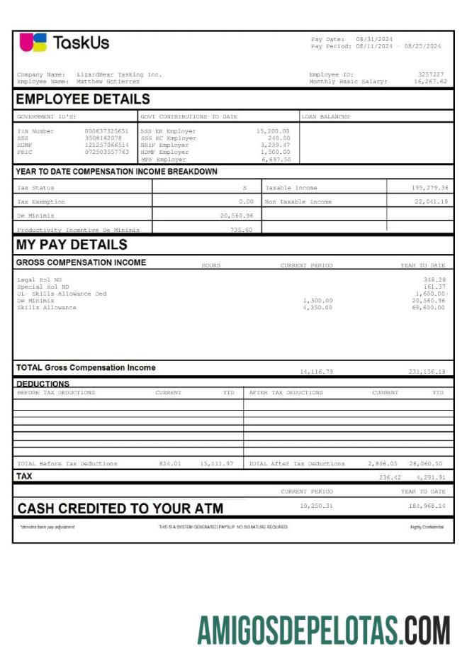 Profesional TaskUs LizardBear Tasking earnings templat in Word and PDF format.PDF, 2