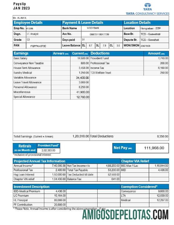 Realistis Tata Consultancy Services payslip templat in Word and PDF format.PDF, 1