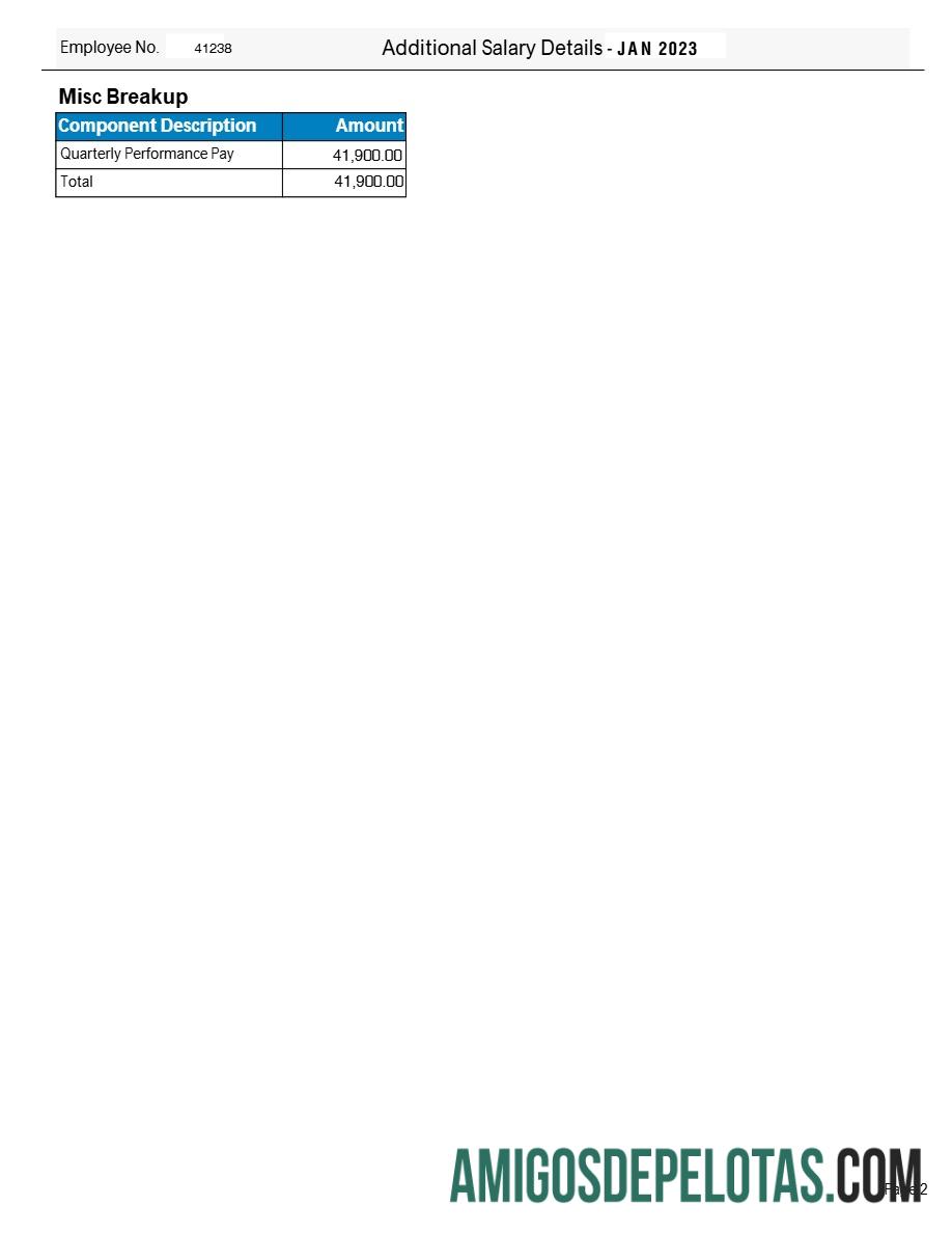 Berkualitas Tata Consultancy Services payslip templat in Word and PDF format.PDF, 2