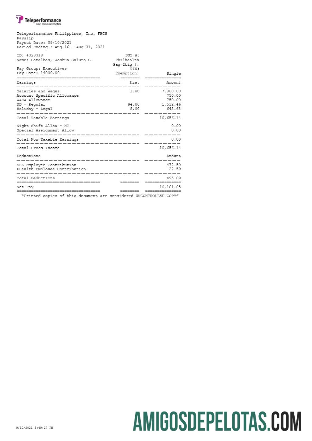Profesional Teleperformance Filipina payslip templat in Word and PDF format.PDF, 1