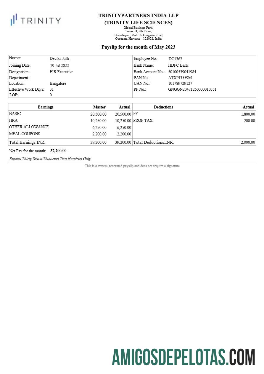 Berkualitas Trinitypartners India Nyata estate payslip templat in Word and PDF format.PDF, 1
