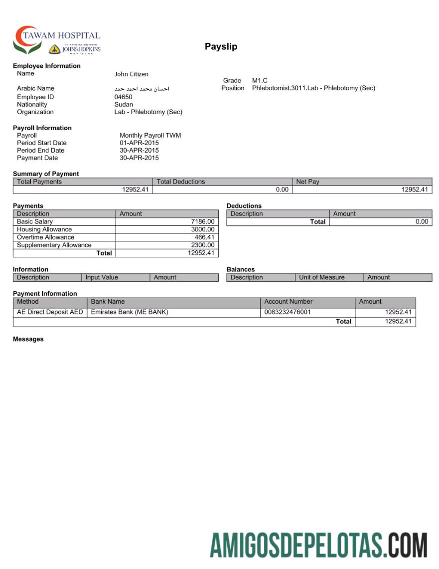 Berkualitas UEA TAWAM Hospital payslip templat in Word and PDF format