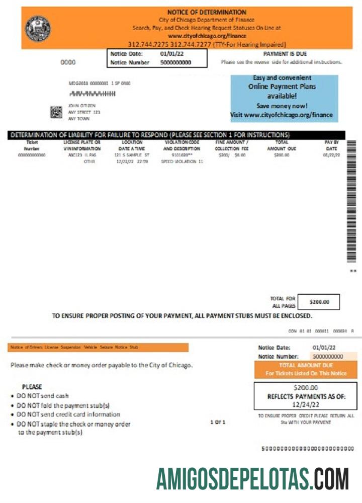 AS Chicago Notice of Determination sampel