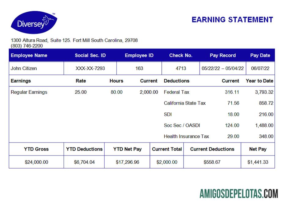 AS Diversey household Barang Perusahaan pay stub sampel