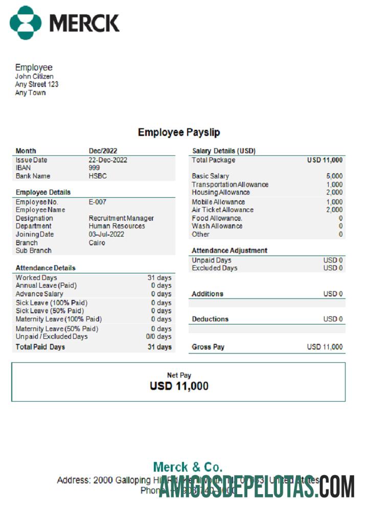 AS Merck & Co. pharmaceutical Perusahaan pay stub templat