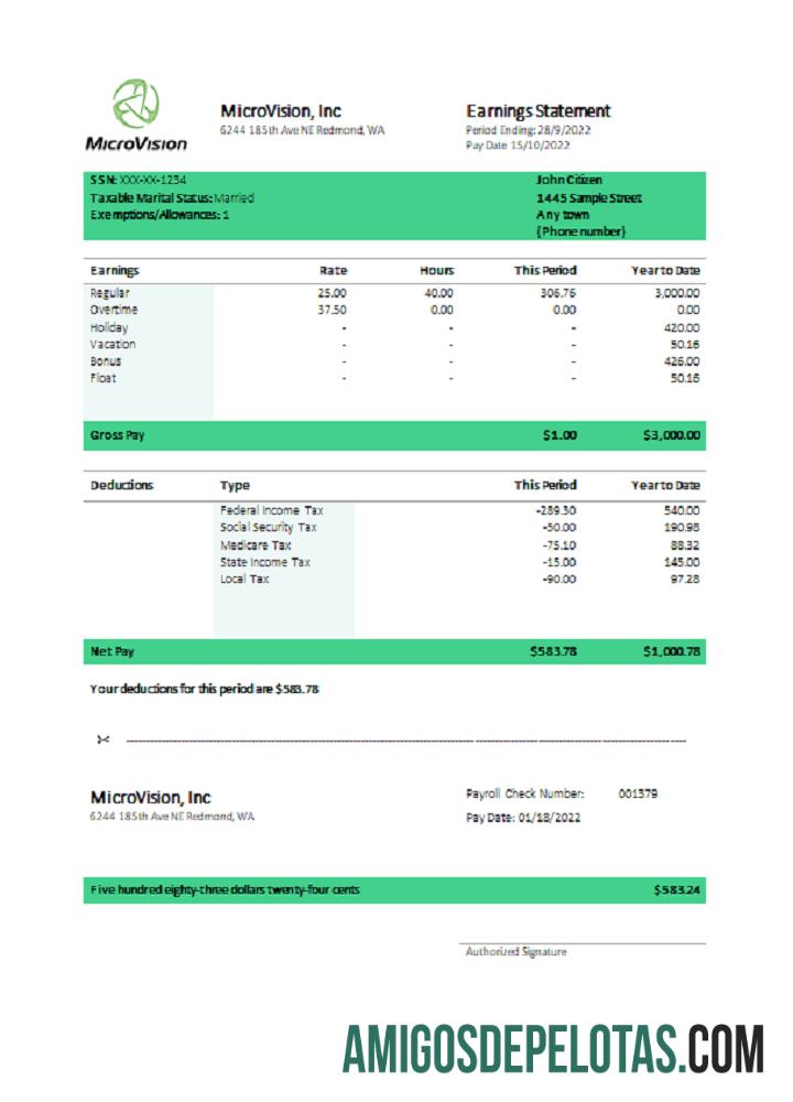AS MicroVision informational Perusahaan pay stub desain