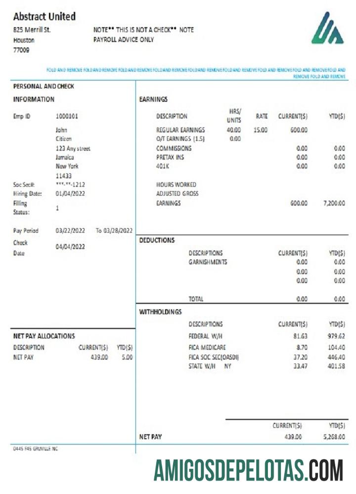 AS Baru York Abstract United pay stub sampel
