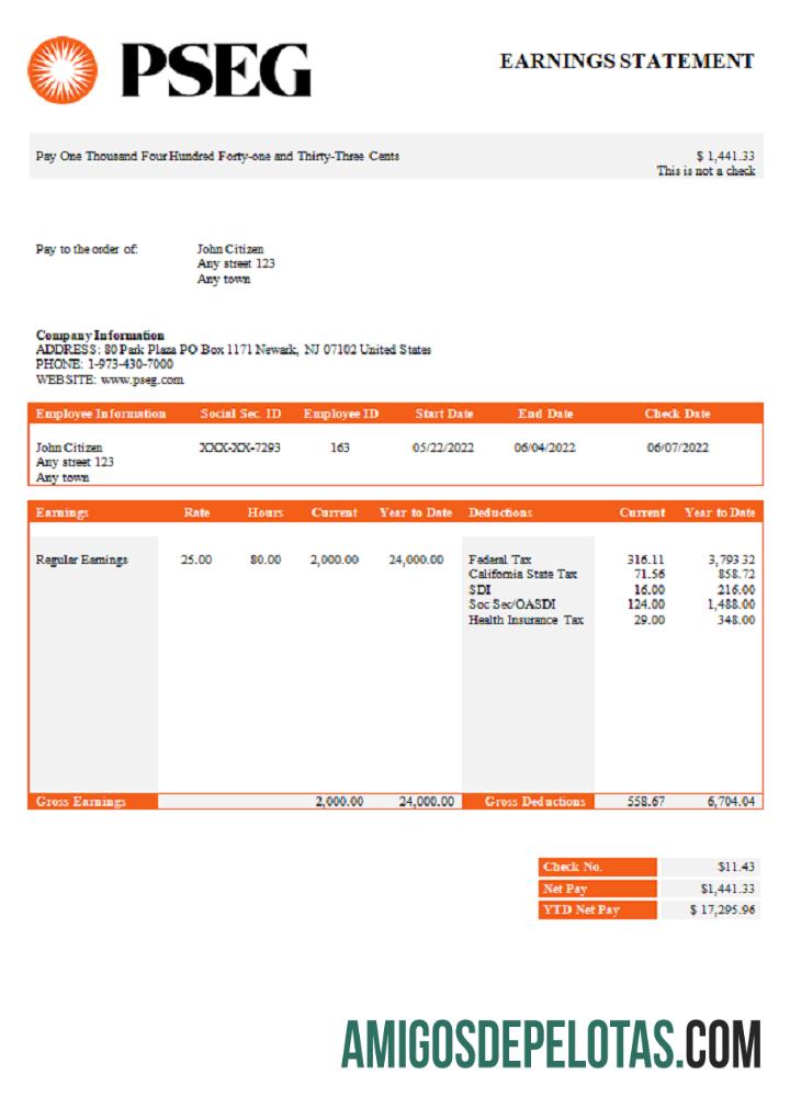 AS PSEG utilities Perusahaan pay stub sampel