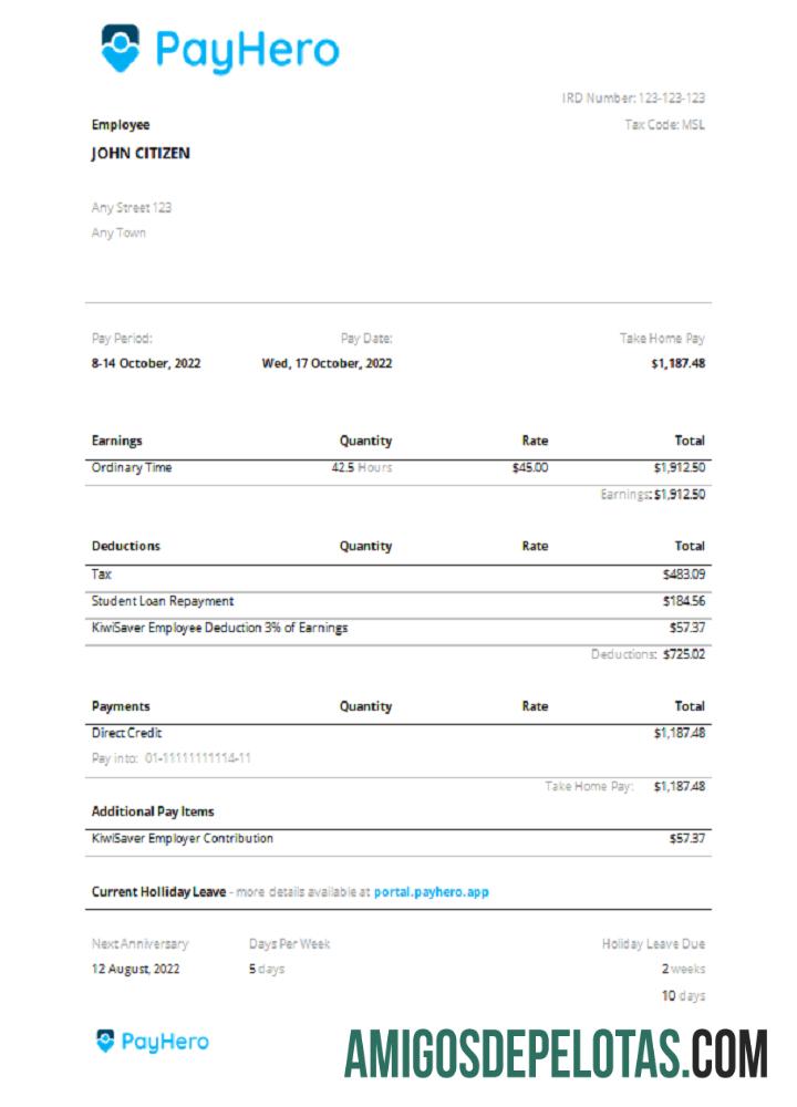 AS PayHero financial Perusahaan pay stub desain