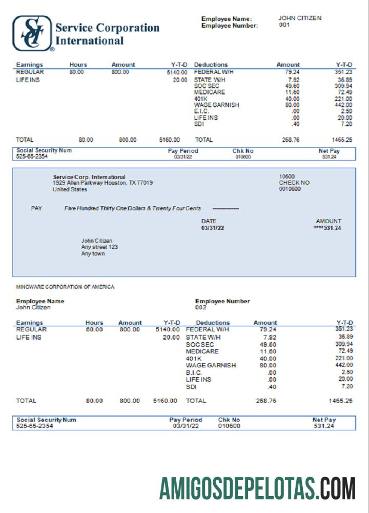 AS layanan Corp. International consumer discretionary Perusahaan pay stub desain
