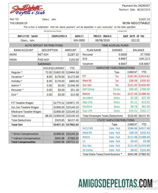 AS South Dakota payroll e stub Word and PDF makering