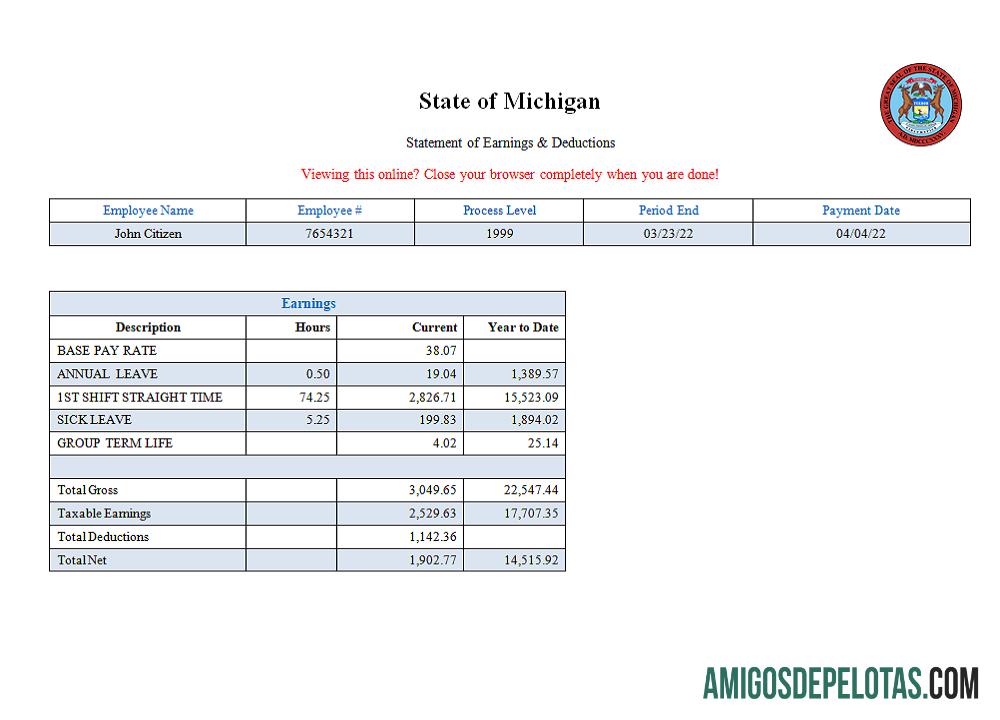 AS State of Michigan social services Perusahaan pay stub pratinjau