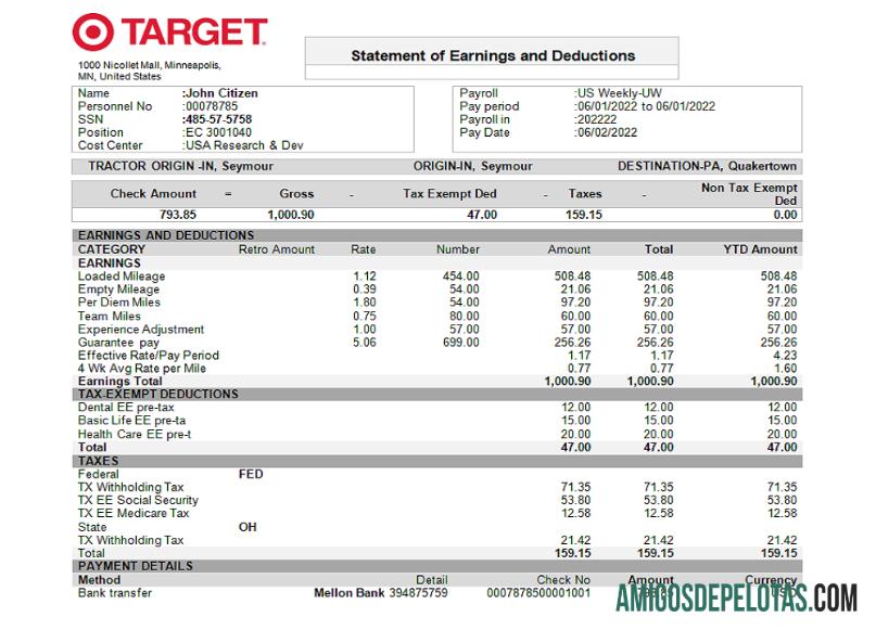 AS Target retail Perusahaan pay stub desain