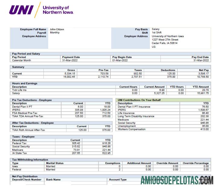 AS universitas of Norther Iowa paystub in Excel and PDF format pratinjau