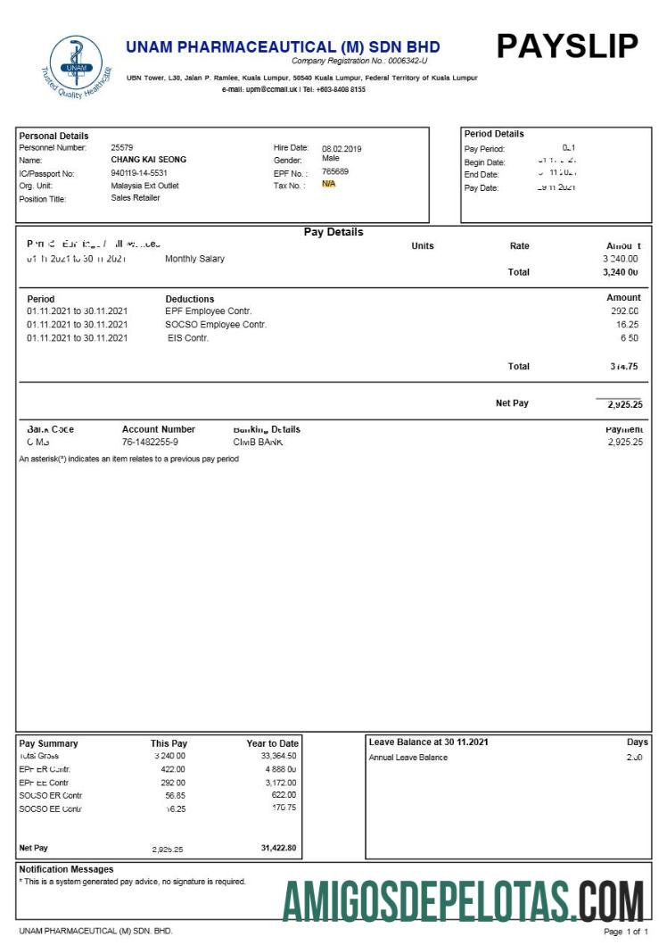Profesional Unam Pharmaceautical (M) Sdn Bhd payslip templat in Word and PDF format.PDF, 1