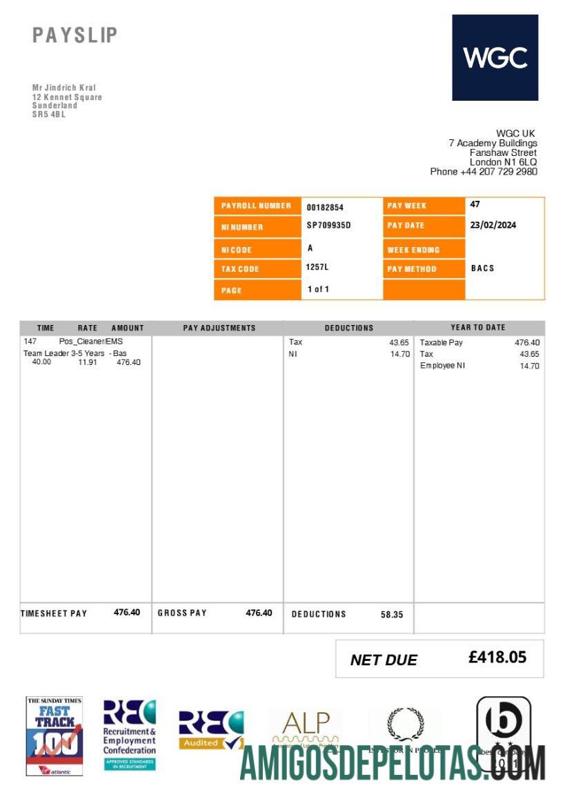 Profesional Inggris Raya WGC cleaning layanan payslip templat in Word and PDF format.PDF, 1