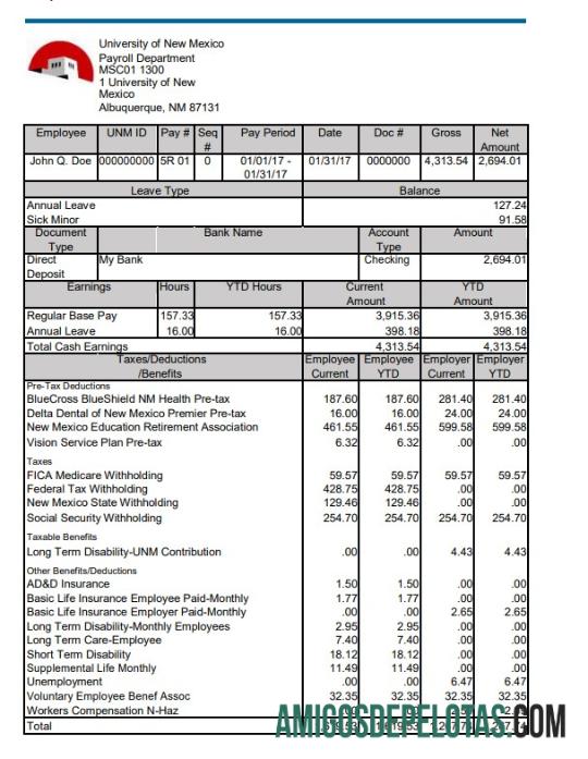 Profesional universitas of Baru Meksiko pay stub Word and PDF templat