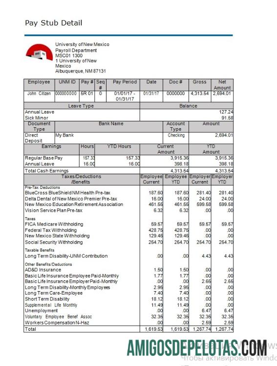 universitas of Baru Meksiko paystub in Word and PDF format pratinjau