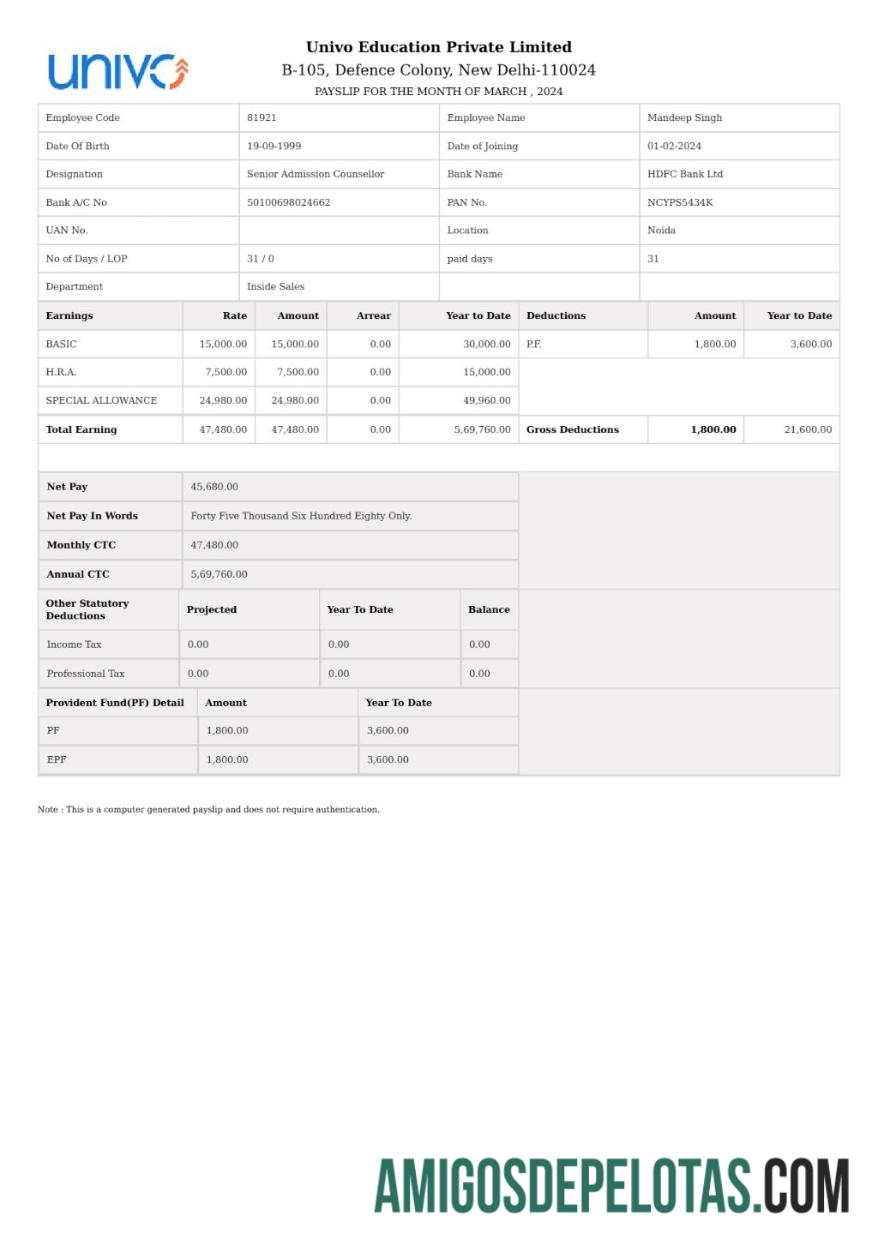 Profesional Univo Education payslip templat in Word and PDF format.PDF, 1