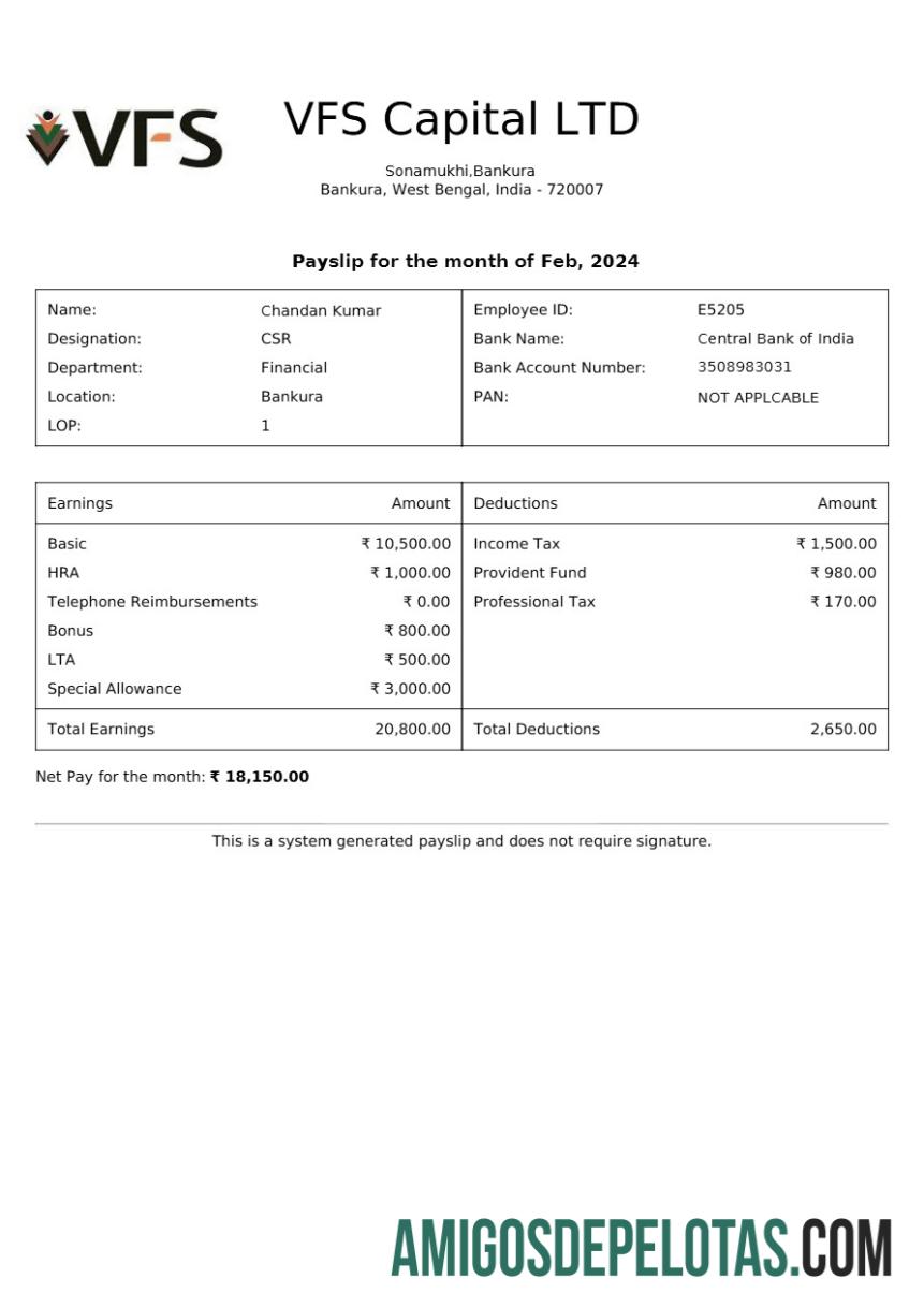 Realistis VFS Capital payslip templat in Word and PDF format.PDF, 1