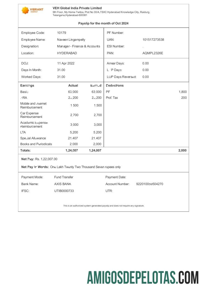 Realistis Vibrant Energy VEH Global India payslip templat in Word and PDF format.PDF, 1