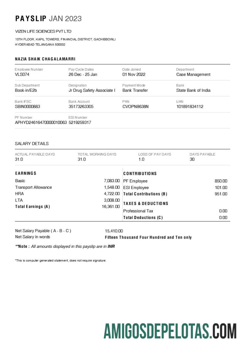 Dapat Diedit Vizen Life Sciences pharmaceutical Perusahaan payslip templat in Word and PDF format.PDF, 1