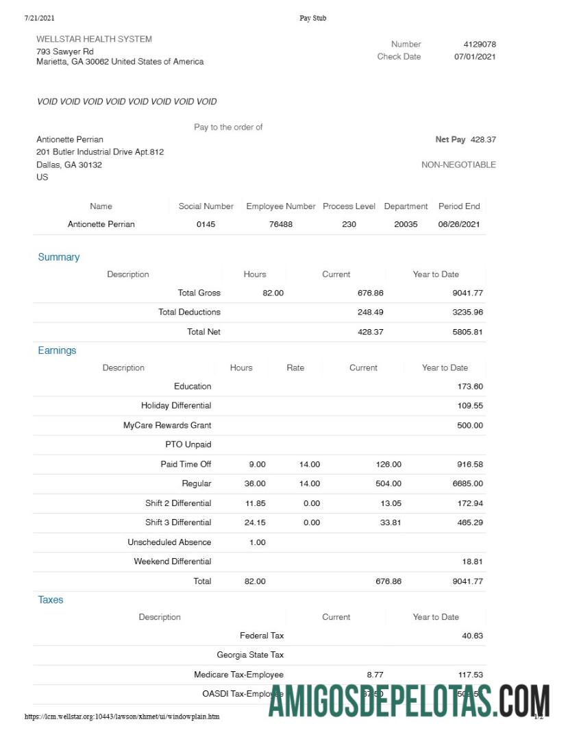 Premium WELLSTAR kesehatan Sistem pay stub templat in Word and PDF format.PDF, 1