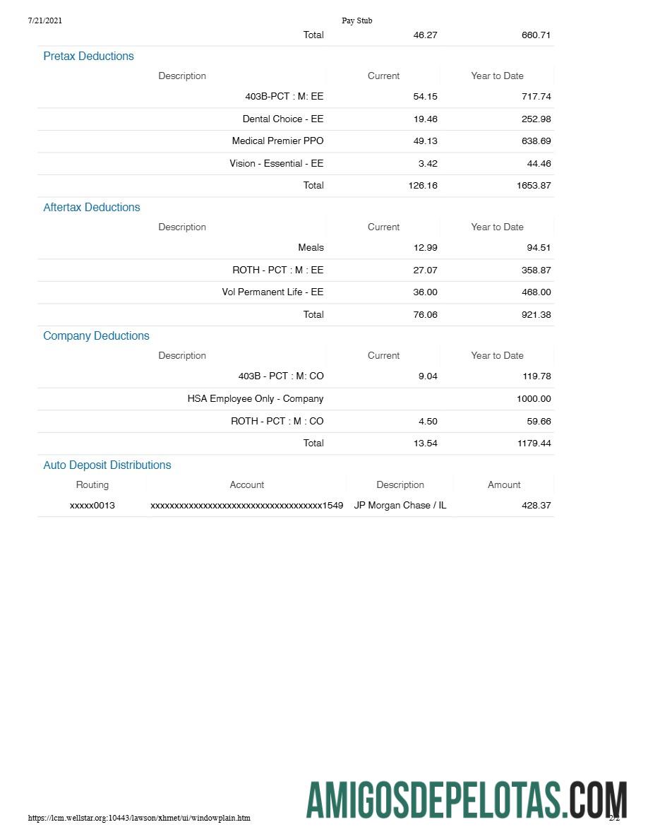 Berkualitas WELLSTAR kesehatan Sistem pay stub templat in Word and PDF format.PDF, 2