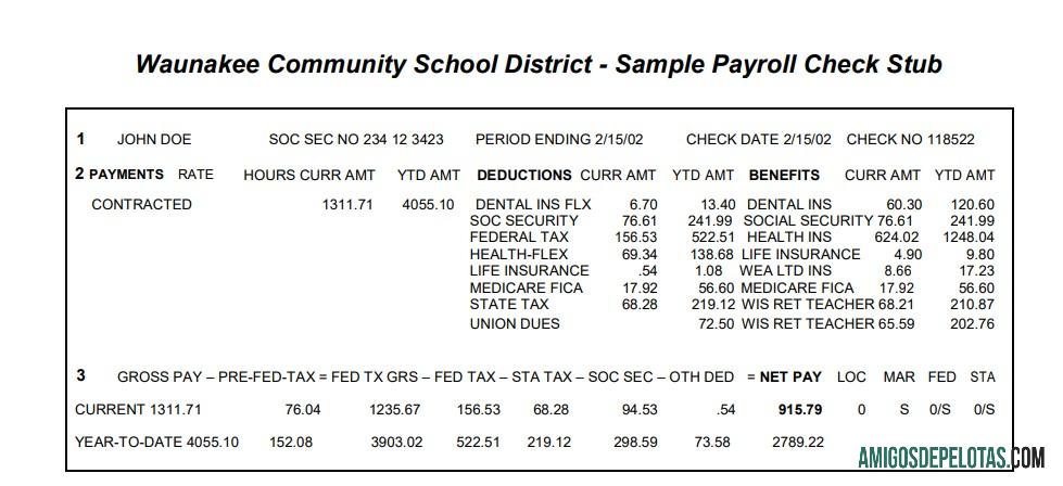 Profesional Waunakee Community sekolah District payroll check stub Word and PDF templat