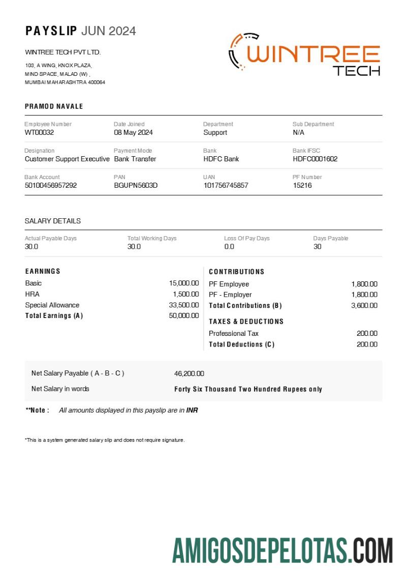 Dapat Diedit Wintree Tech payslip templat in Word and PDF format.PDF, 1