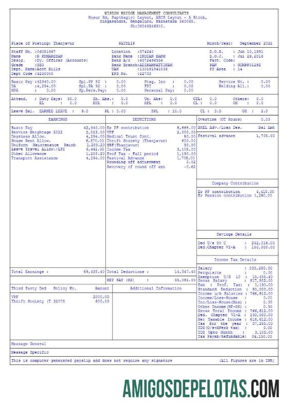 Premium Wisdom Bridge Management Consultants payslip templat in Word and PDF format.PDF, 1