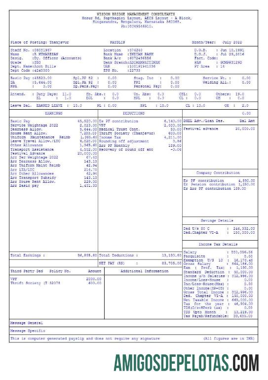 Profesional Wisdom Bridge Management Consultants payslip templat in Word and PDF format.PDF, 3