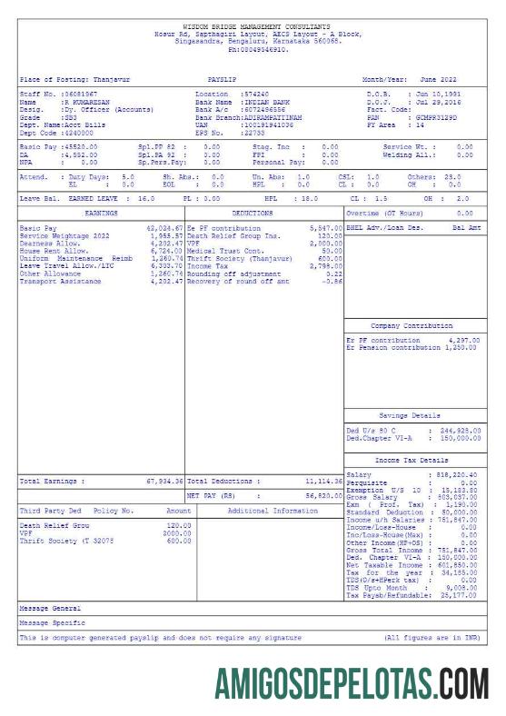 Berkualitas Wisdom Bridge Management Consultants payslip templat in Word and PDF format.PDF, 4