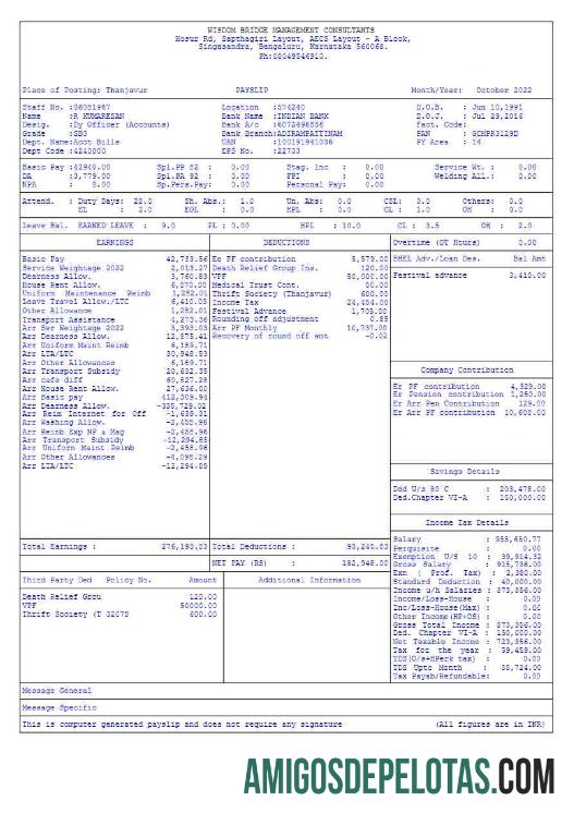 Premium Wisdom Bridge Management Consultants payslip templat in Word and PDF format.PDF, 5