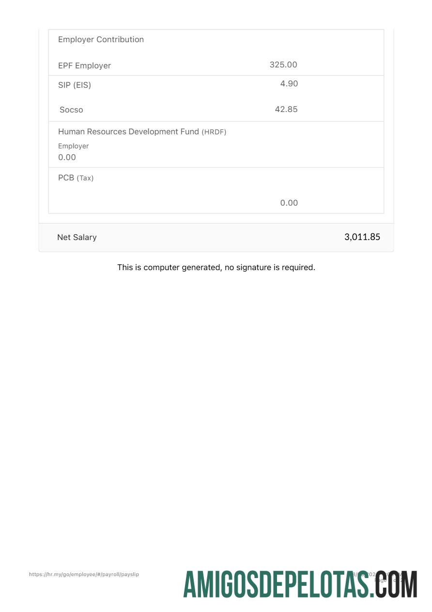 Berkualitas Zetronix payslip templat in Word and PDF format.PDF, 2