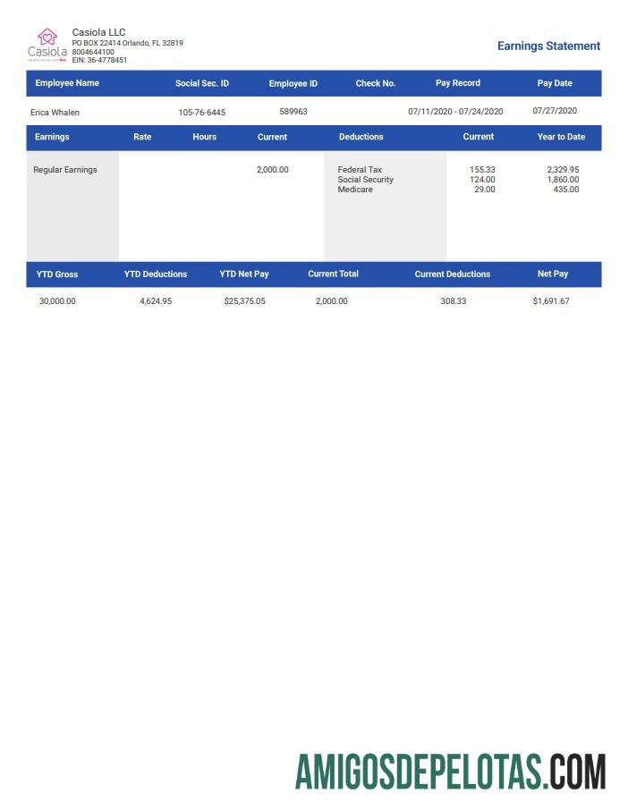 casiola llc earnings Employee Paystub desain