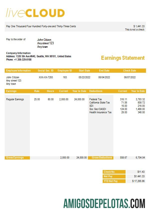 Realistis cloud Penyimpanan paystub templat in Word and PDF format