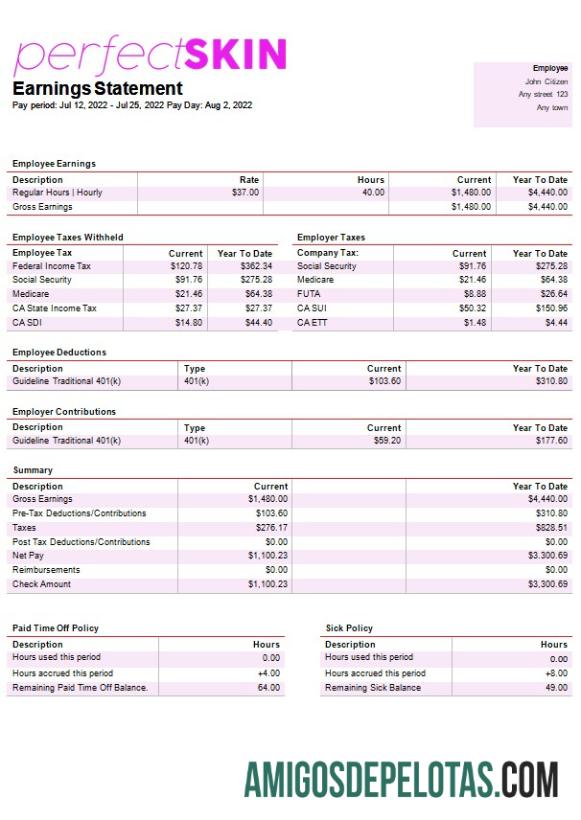 Profesional dermatology Perusahaan paystub templat in Word and PDF format
