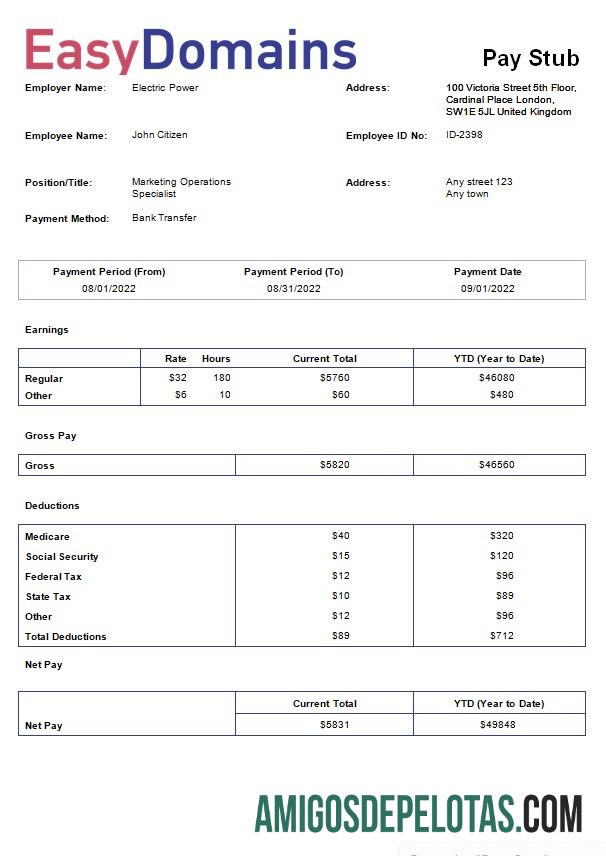 Profesional domain name pendaftaran Perusahaan payslip templat in Word and PDF format