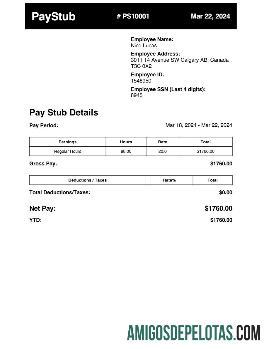 Profesional earnings pay stub templat in Word and PDF format.PDF, 1