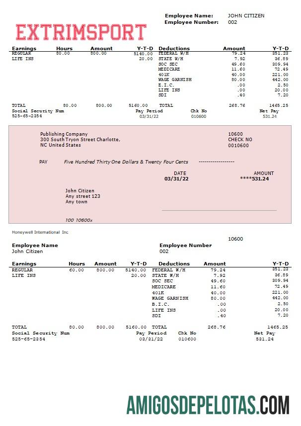 extrim Olahraga Perusahaan fully Dapat Diedit earning laporan in Word and PDF format sampel