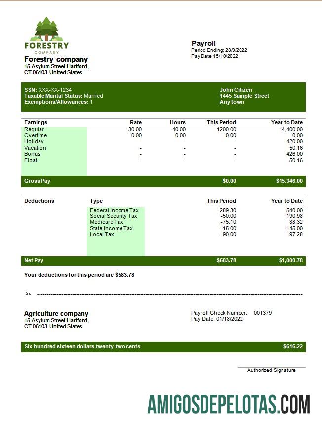 Realistis forestry Perusahaan payslip templat in Word and PDF format