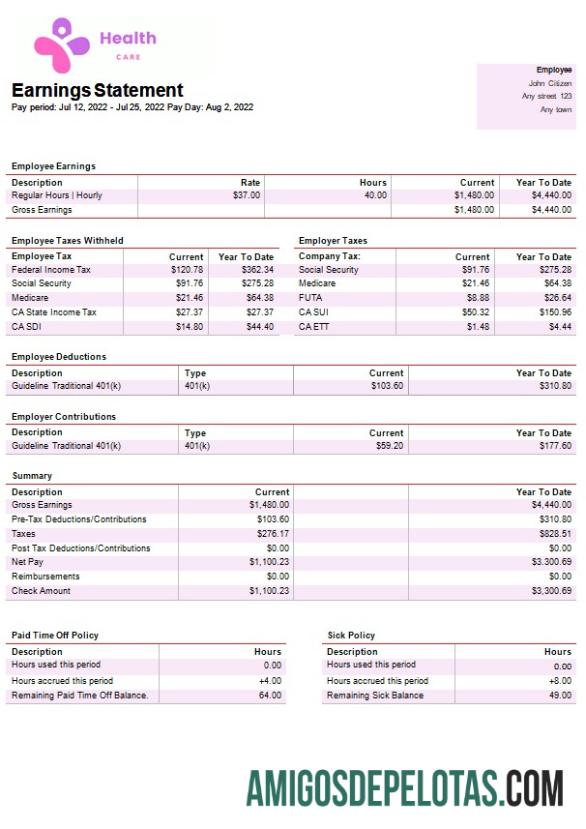 Profesional kesehatan services Perusahaan paystub templat in Word and PDF format