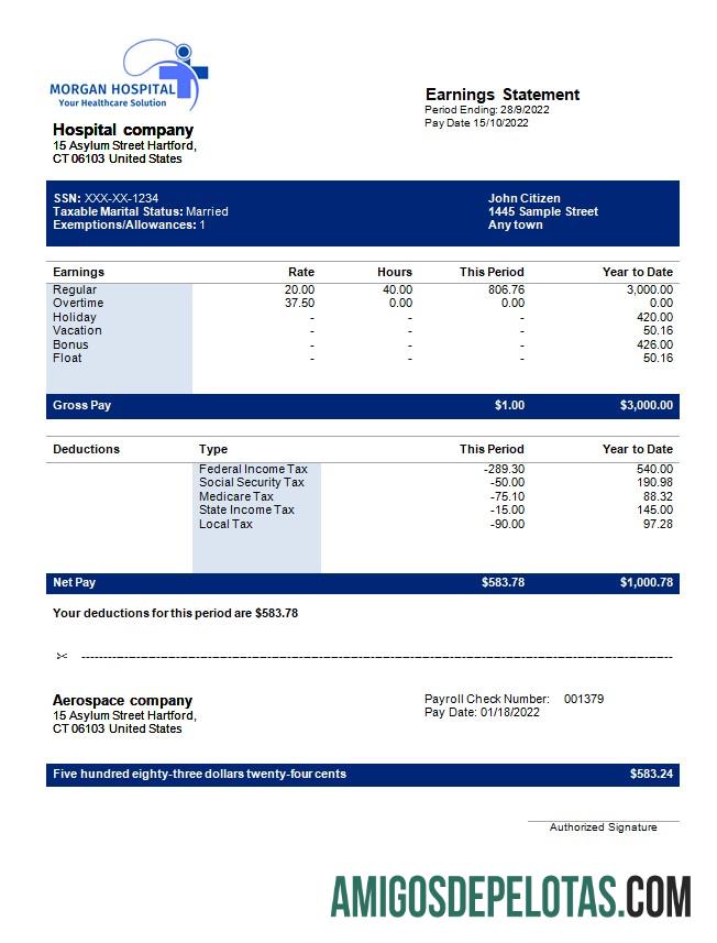 hospital Perusahaan earning laporan in Word and PDF format pratinjau