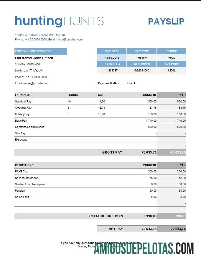 Realistis hunting Perusahaan paystub templat in Excel and PDF format