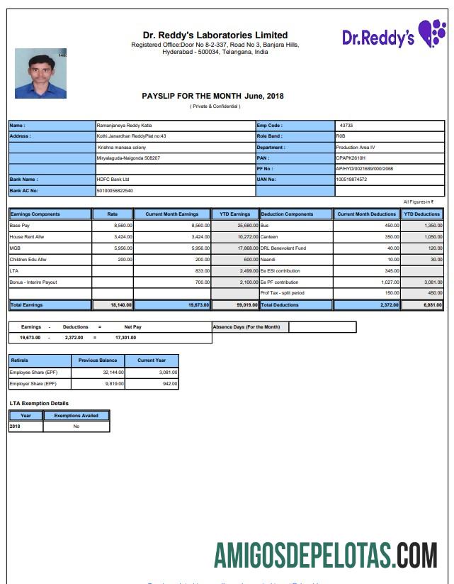 Profesional laboratory payslip Word and PDF templat