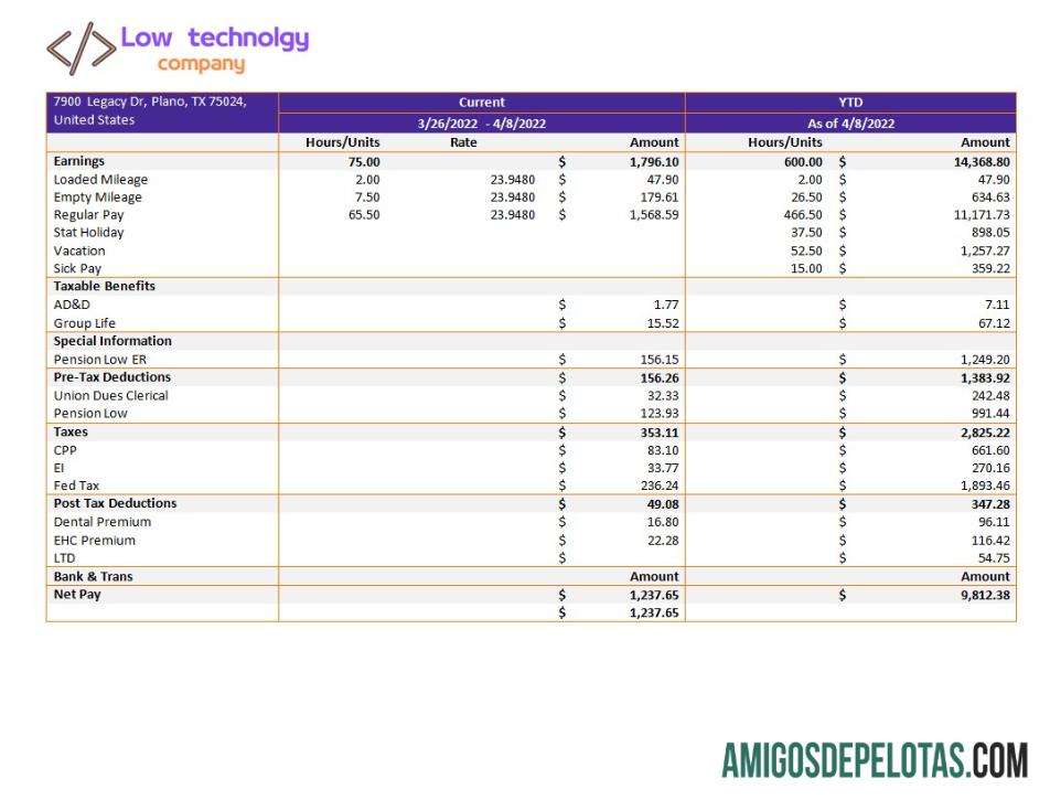 Profesional low Teknologi Perusahaan paystub templat in Word and PDF format