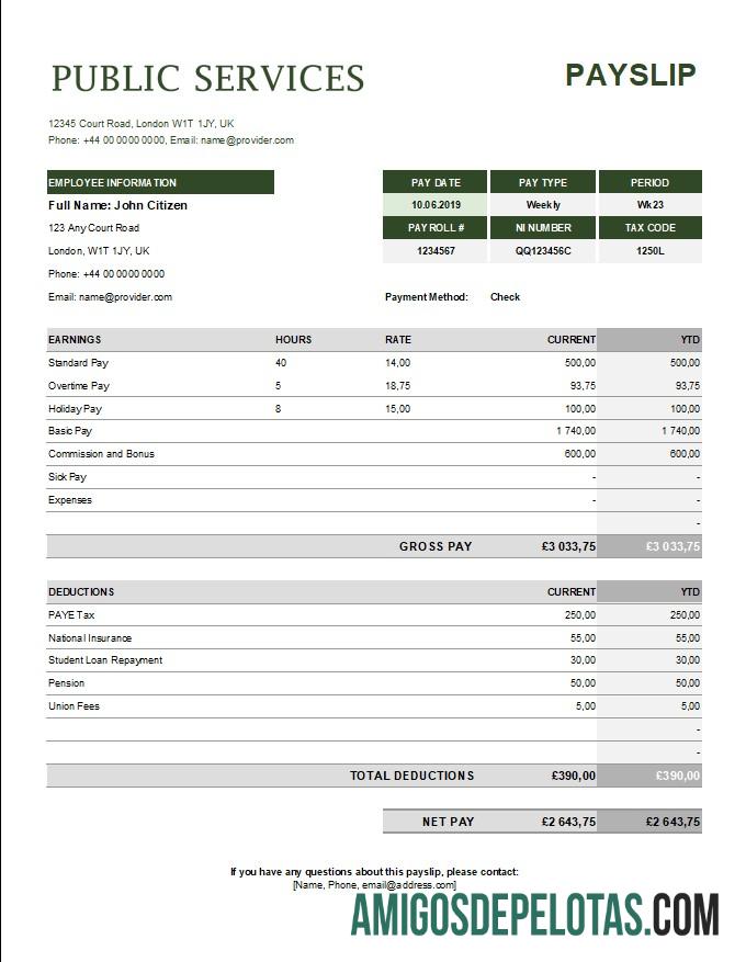 Premium public services corporation payslip templat in Excel and PDF format