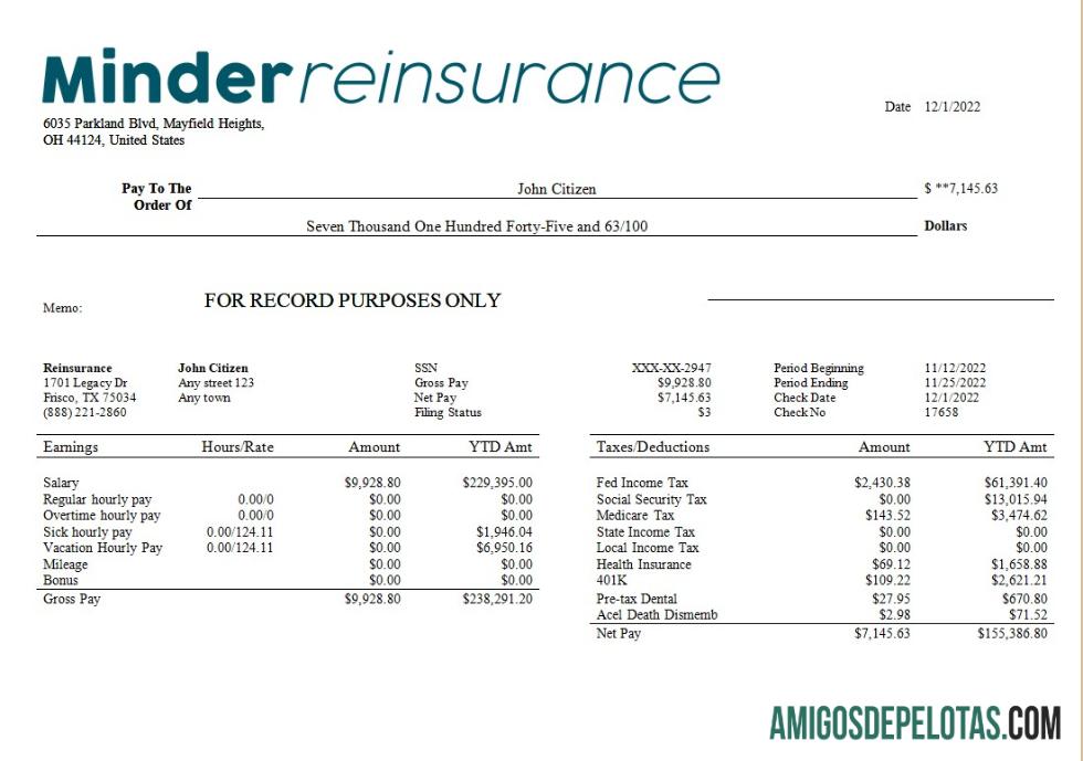 Profesional reinsurance Perusahaan payroll templat in Word and PDF format